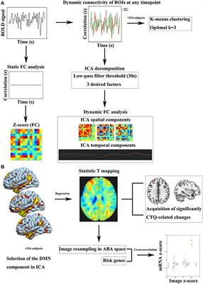 Default Mode Network Alterations Induced by Childhood Trauma Correlate With Emotional Function and SLC6A4 Expression